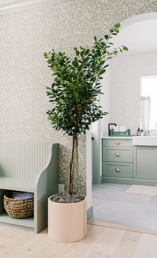 A tall potted plant with dense green foliage stands in a beige pot on a light wood floor. The room has floral-patterned wallpaper in pale tones, a light green built-in bench, and leads to a bathroom with green cabinetry and tiled floor.