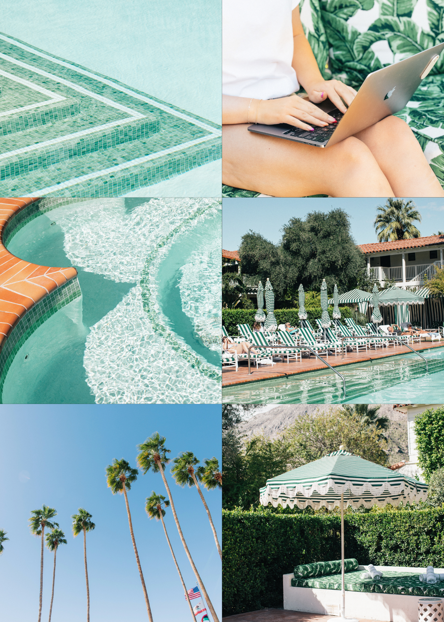 Complete Palm Springs Stock Pack- 60 Images  House Of Assets 