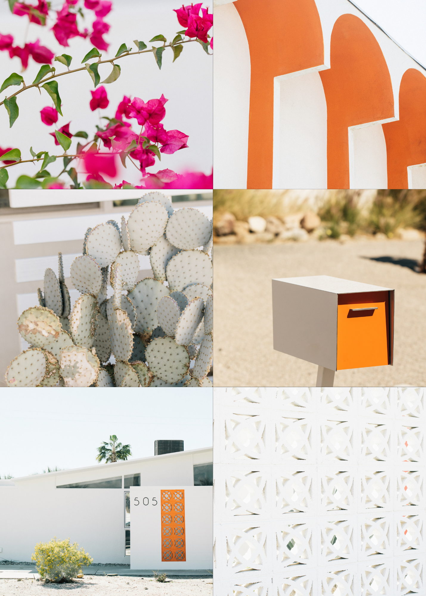 Complete Palm Springs Stock Pack- 60 Images  House Of Assets 